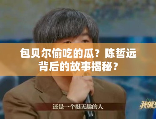 包贝尔偷吃的瓜？陈哲远背后的故事揭秘？