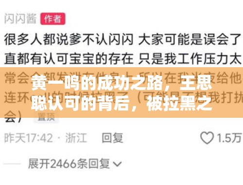 黄一鸣的成功之路，王思聪认可的背后，被拉黑之谜揭秘